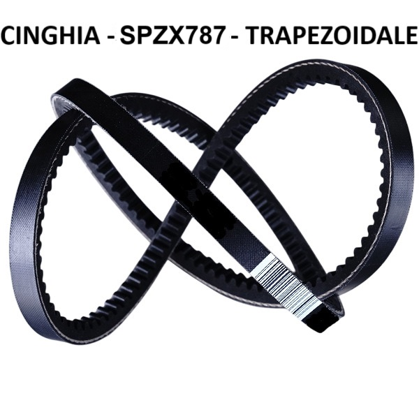 Cinghia di Trasmissione SPZX 787 Trapezoidale Dentellata