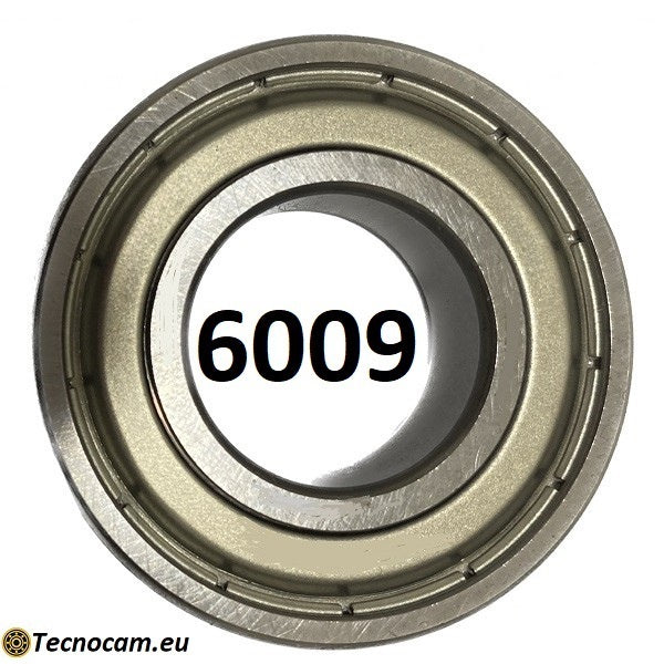 6009 ZZ Kugellager 45x75x16 mm, abgedichtet in verzinktem Stahl