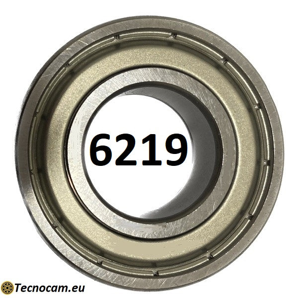 6219 ZZ Kugellager 95x170x32 mm, abgedichtet in verzinktem Stahl