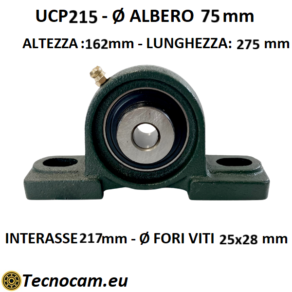 Supporto con Cuscinetto UCP215 in Ghisa