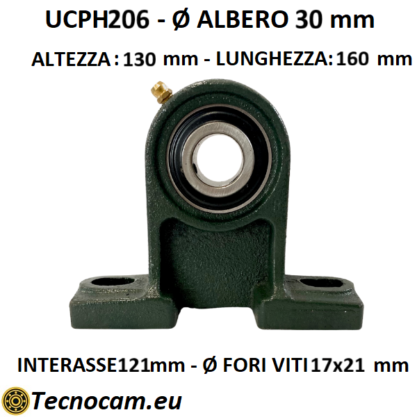 Supporto con Cuscinetto UCPH206 in Ghisa