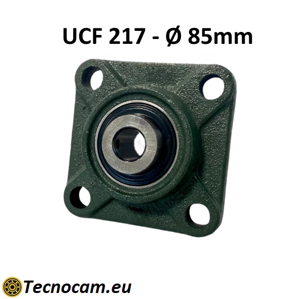 Supporto con Cuscinetto UCF217 in Ghisa