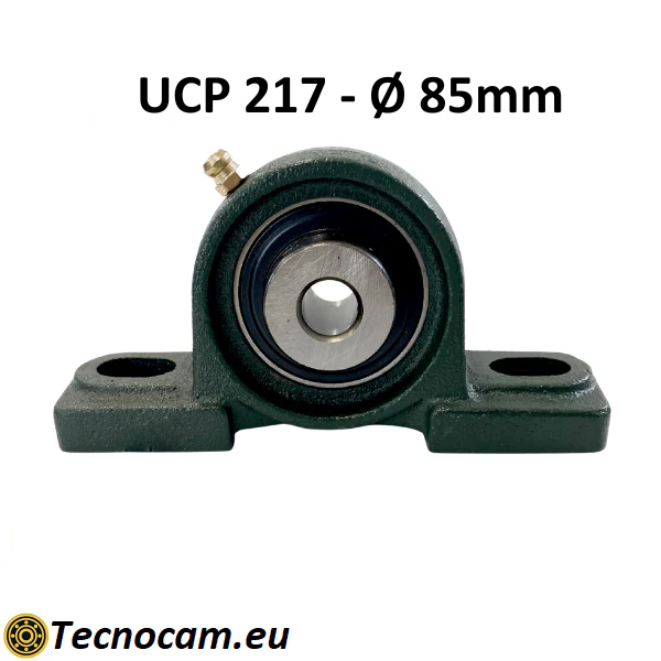 Supporto con Cuscinetto UCP217 in Ghisa