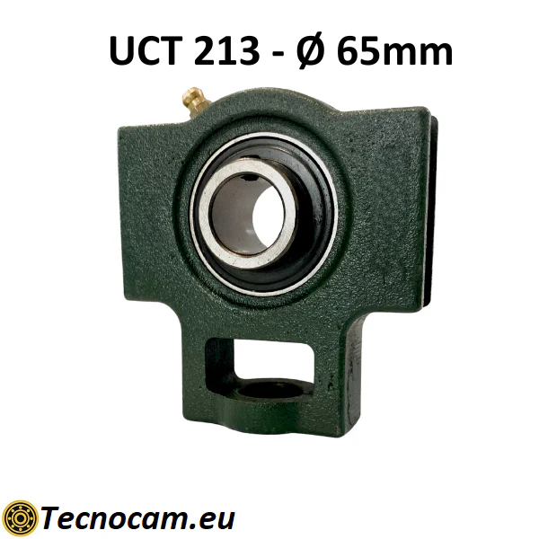 Supporto con Cuscinetto UCT213 in Ghisa