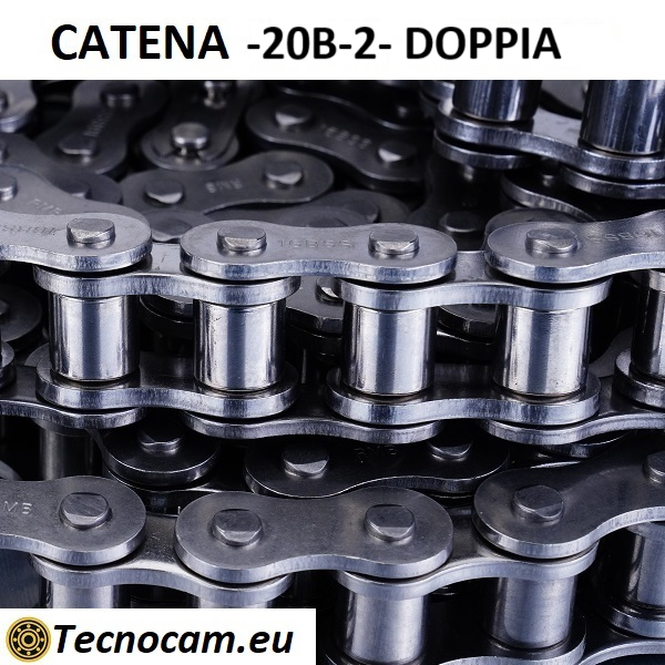 Catena di Trasmissione a Rulli 20B-2 Doppia