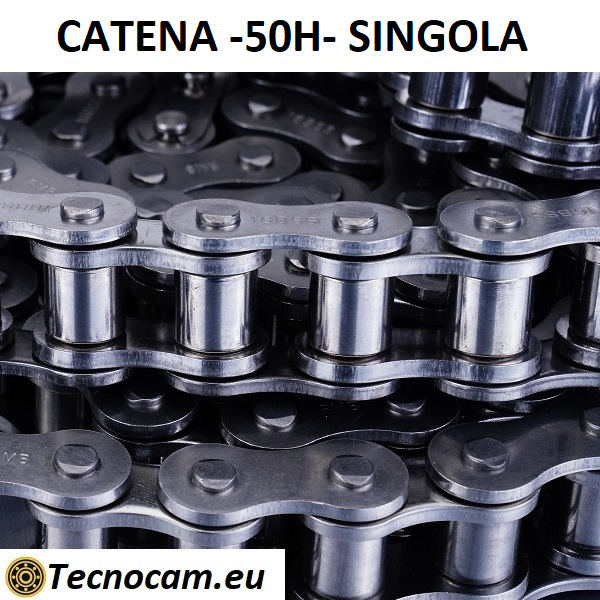 Catena di Trasmissione a Rulli 50H Singola