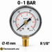 Manometro a secco 0–1 bar con cassa metallica Ø 41 mm e attacco radiale maschio R 1/8 BSPT