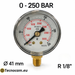 Manometro a secco 0–250 bar con cassa metallica Ø 41 mm e attacco radiale maschio R 1/8 BSPT
